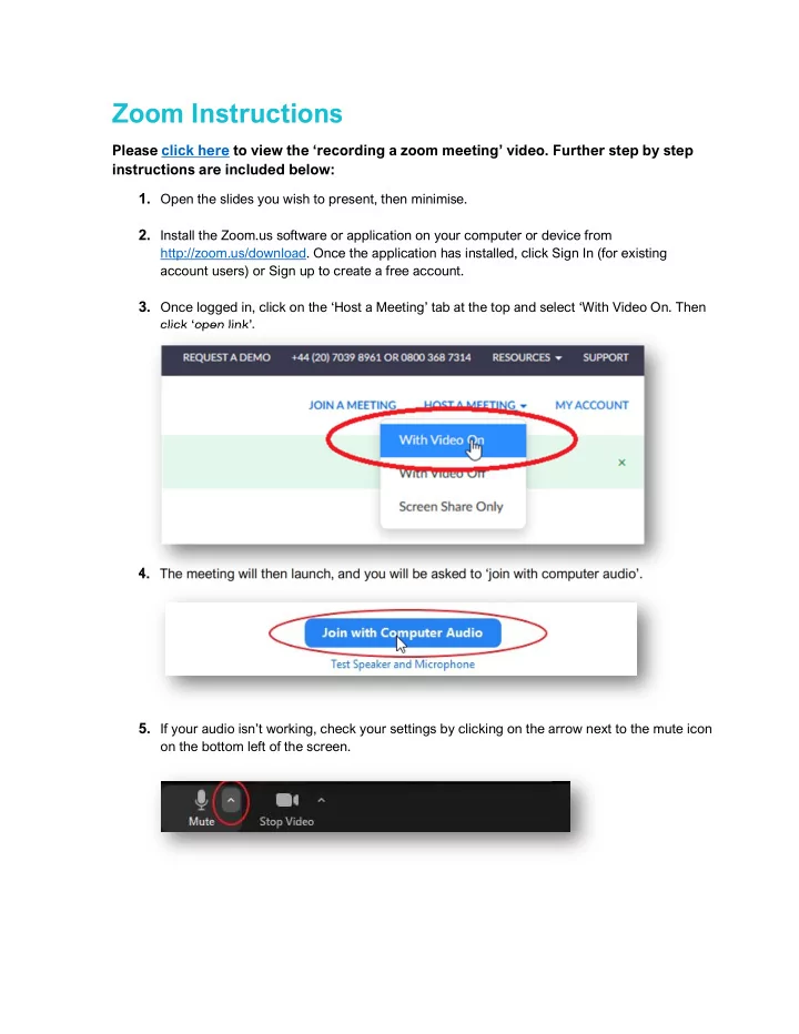 zoom instructions