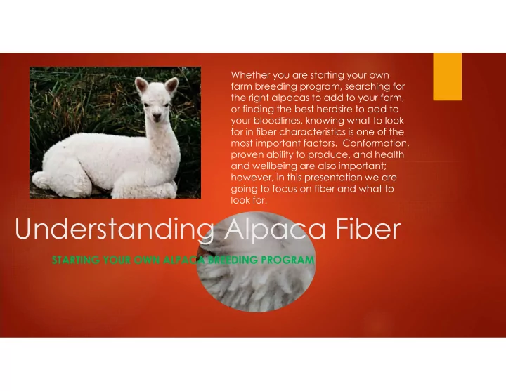 understanding alpaca fiber