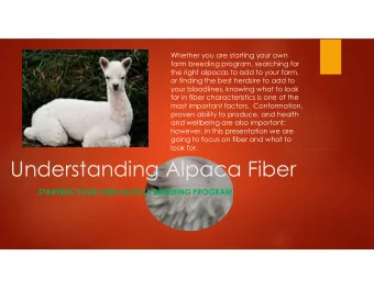 Understanding Alpaca Fiber  STARTING YOUR OWN ALPACA BREEDING PROGRAM  When looking at the fleece,