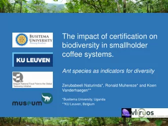 The impact of certification on  biodiversity in smallholder  coffee systems.  Ant species as