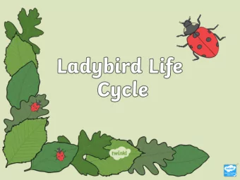 The female ladybird lays its eggs  onto a leaf.  The eggs hatch and the larvae are born. They  will