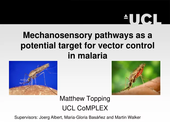 in malaria