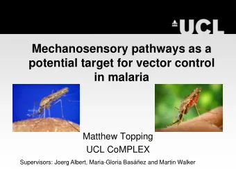 in malaria  Matthew Topping  UCL CoMPLEX Supervisors: Joerg Albert, Maria-Gloria Basez and