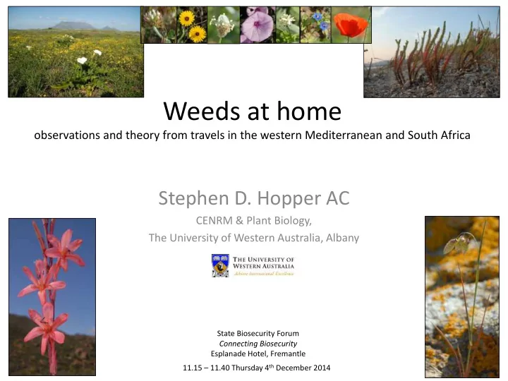 weeds at home