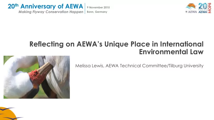 reflecting on aewa s unique place in international