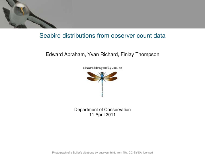 seabird distributions from observer count data