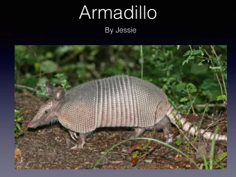 Armadillo  By Jessie  An armadillo is like 5.9-9. 8 in. long,5.9-9.0 tall. Brown,  and black scales