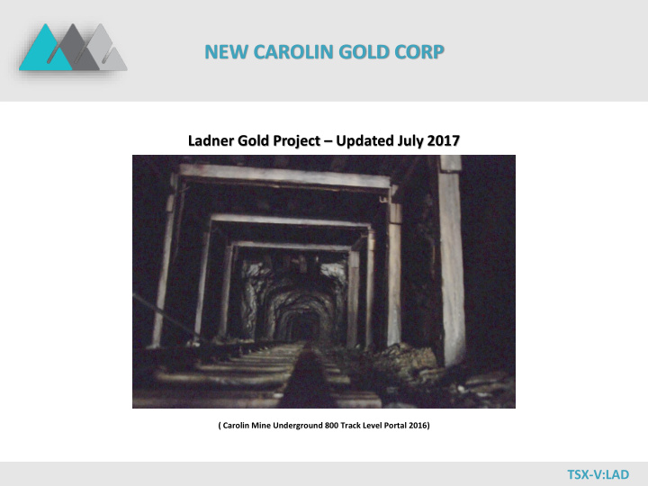 new carolin gold corp