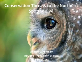 Conservation Threats to the Northern  Spotted Owl  Andrew J. Abraham BSCI462  Population Ecology