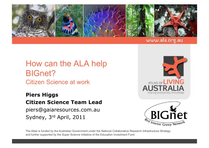 how can the ala help bignet