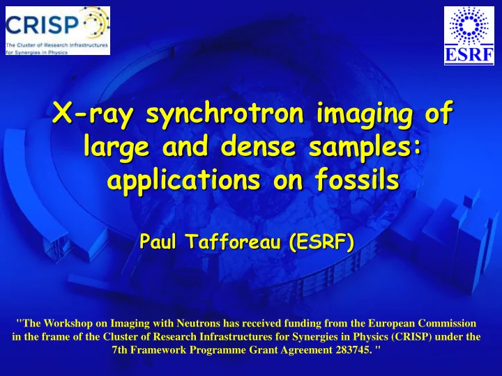 x ray synchrotron imaging of