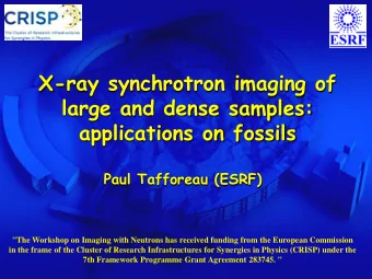 X-ray synchrotron imaging of  large and dense samples:  applications on fossils  Paul Tafforeau