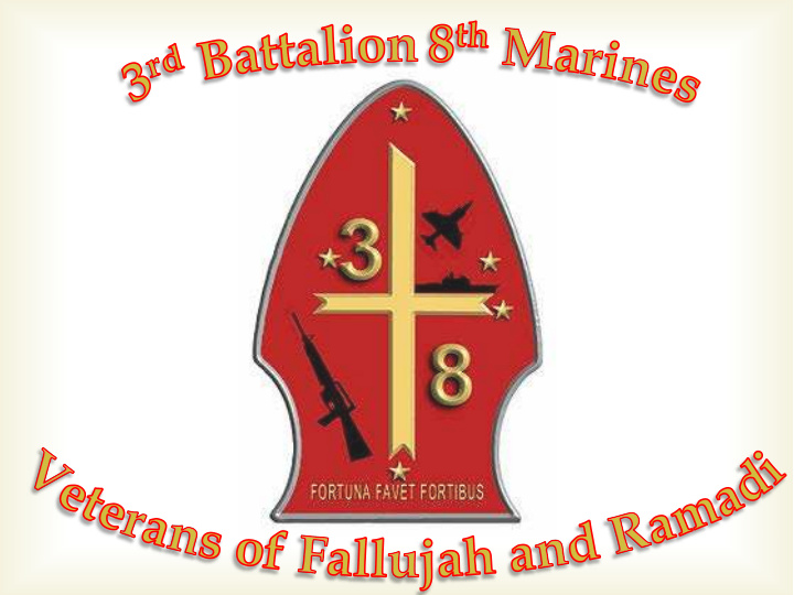 3rd battalion 8th marines veterans of fallujah and ramadi
