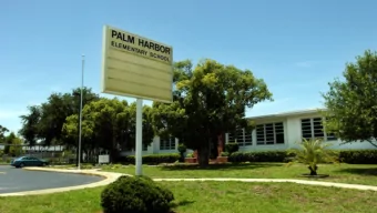 Palm Harbor        Dunedin Highland MS  Zoned MS:  Carwise, Dunedin, Palm Harbor, Safety