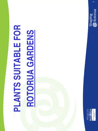 PLANTS SUITABLE FOR  ROTORUA GARDENS  2  - Eddies White Wonder  Cornus drumondii   Upright