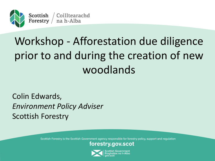 workshop afforestation due diligence prior to and during