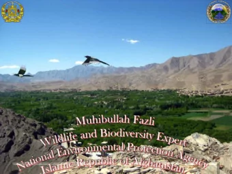 National level  Establishment of  National  Environmental  Advisory Council  Setting up