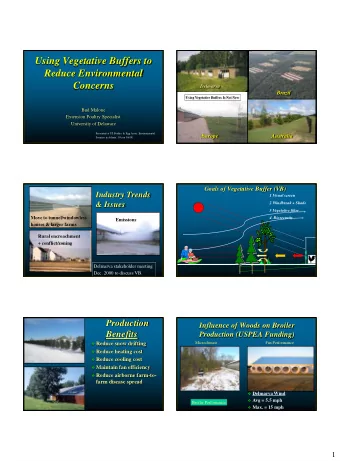 Using Vegetative Buffers to  Reduce Environmental  Concerns  Delmarva  Brazil  European Tree