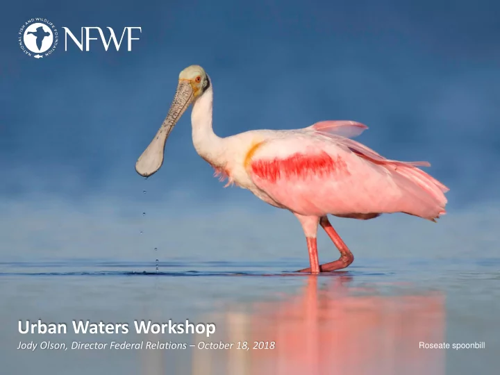 urban waters workshop