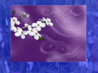 Abdolali Mohagheghzadeh  Professor of Pharmacognosy  Faculty of Pharmacy, SUMS  Global Needs for