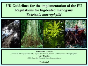 UK Guidelines for the implementation of the EU  Regulations for big-leafed mahogany ( Swietenia