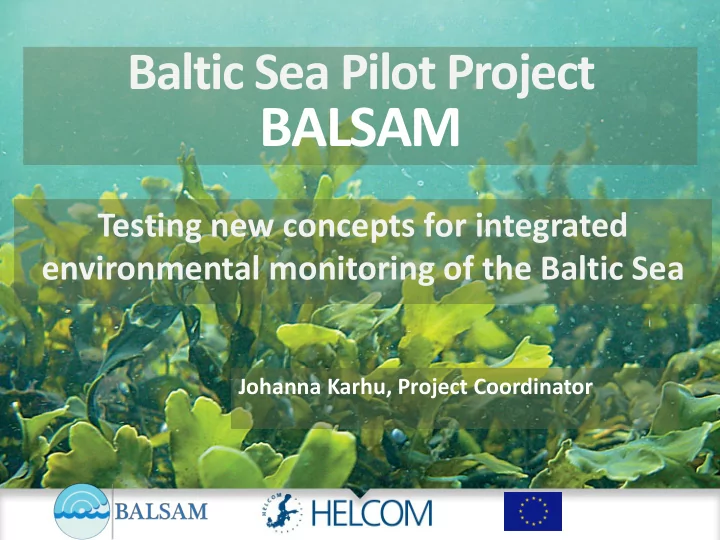 balsam