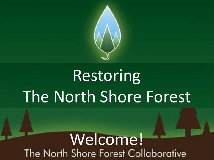 the north shore forest welcome a bit about this evening