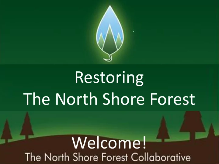 the north shore forest welcome a bit about this evening