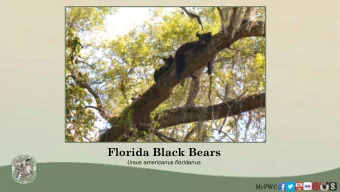 Florida Black Bears  Ursus americanus floridanus  MyFWC  North  th  500  00  Wes  est  Cen  entral