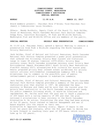 ~  ChairmaD 2017-03-13 MINUTES  3