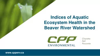 Indices of Aquatic  Ecosystem Health in the  Beaver River Watershed  www.cppenv.ca  Challenge