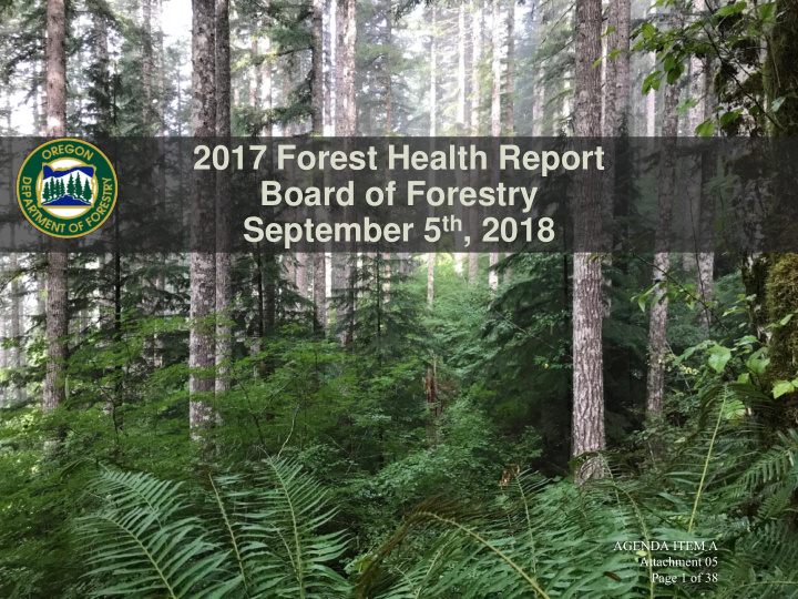 2017 forest health report