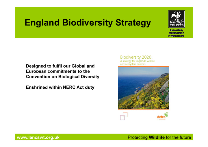 england biodiversity strategy