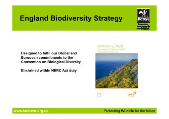 England Biodiversity Strategy  Designed to fulfil our Global and  European commitments to the