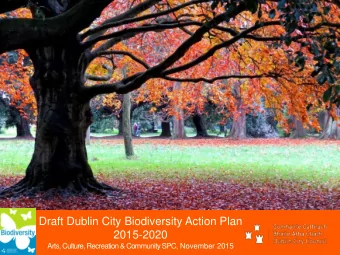 Draft Dublin City Biodiversity Action Plan  2015-2020  Arts, Culture, Recreation &amp; Community
