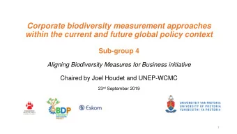 within the current and future global policy context  Sub-group 4  Aligning Biodiversity Measures