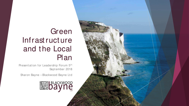 green infrastructure and the local plan