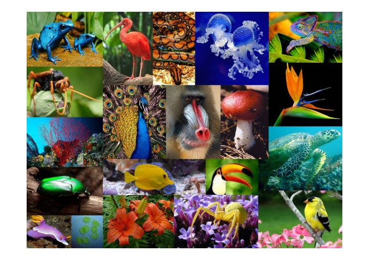 biodiversity is life biodiversity is our life global