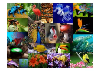 Biodiversity is life  Biodiversity is our life  Global Biodiversity Outlook 3  Source: IUCN