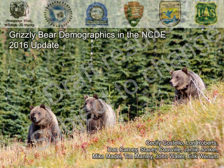 grizzly bear demographics in the ncde 2016 update