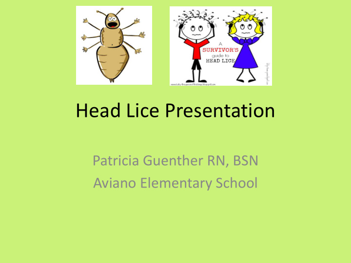 head lice presentation