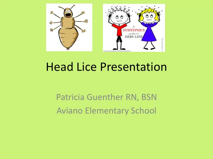 head lice presentation