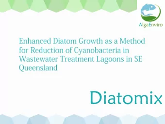 Diatomix  A Natural Way to Control  Algae Blooms  Diatomix is a natural solution to control
