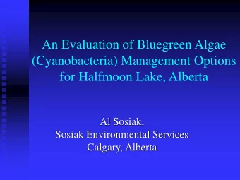 (Cyanobacteria) Management Options  for Halfmoon Lake, Alberta  Al Sosiak,  Sosiak Environmental