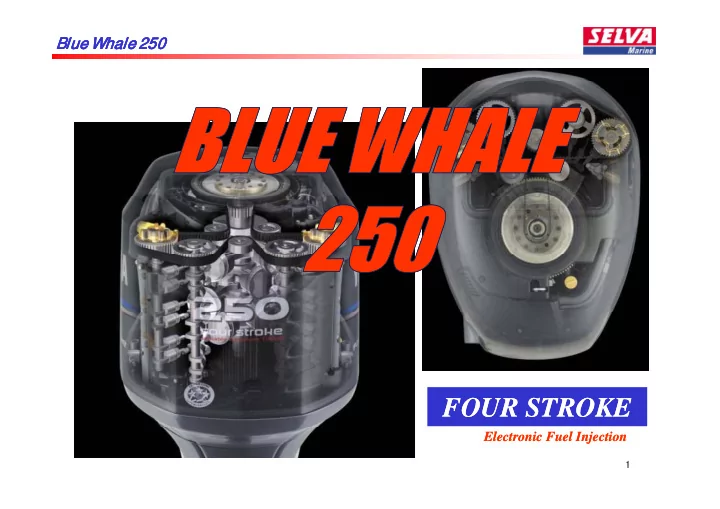 four stroke four stroke