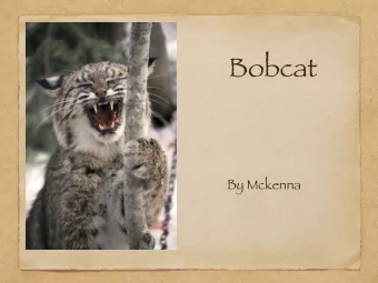 Bobcat  By Mckenna  A bobcats fur is buff to  brown marked with spots or  strips of brown or
