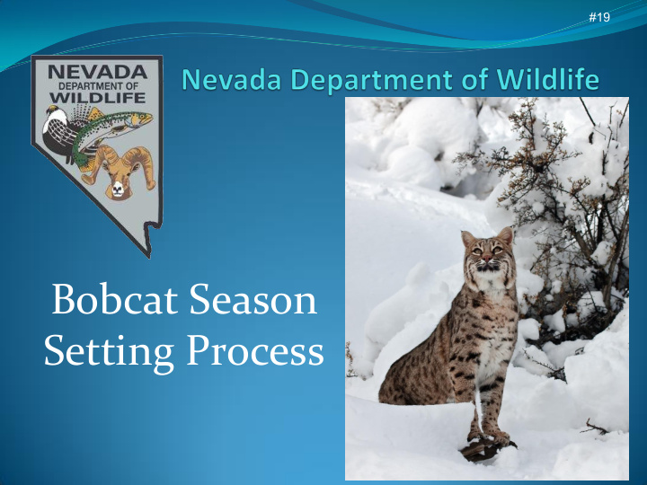 bobcat season setting process ndow approach