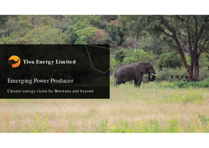 emerging power producer