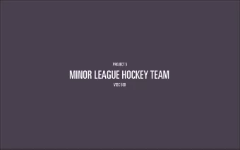 MINOR LEAGUE HOCKEY TEAM  VISC 560  LAS ANIMAS, CO  POPULATION - 2,198  JUST TWO MILES OUTSIDE OF