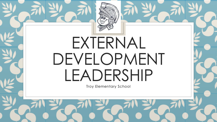 external development leadership